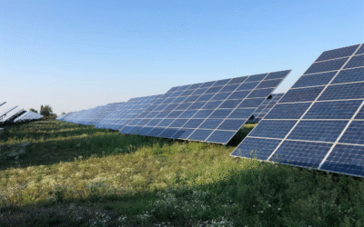 Strona internetowa dla firm z sektora OZE – co powinna zawierać?