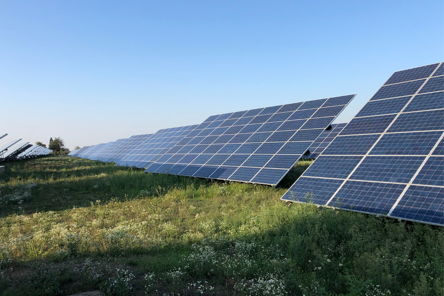 Strona internetowa dla firmy z sektora OZE – co powinna zawierać