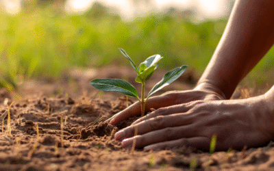 Strona internetowa dla fundacji – co powinna zawierać?